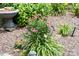 Lush garden featuring colorful flowers, plants, and well-maintained landscaping at 7029 Forest Hills Dr # 38, Denver, NC 28037
