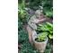 Charming garden statue surrounded by lush greenery in a peaceful backyard setting at 7029 Forest Hills Dr # 38, Denver, NC 28037