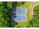 Aerial view of two community tennis courts, surrounded by lush greenery at 8312 Compton Acres Ln, Waxhaw, NC 28173