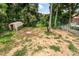 An overgrown backyard featuring a storage shed, partial privacy fence and lots of mature trees at 909 Gibbons St, Gastonia, NC 28052