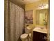 Bathroom with a dark wood vanity, a shower curtain with a pattern, and a painting on the wall at 9608 Brackenview Ct, Charlotte, NC 28214