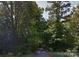 Road to the building site surrounded by dense woods and mature trees under a partly cloudy sky at 1630 Riddle Ext, Clover, SC 29710