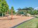 A vibrant playground featuring swings, slides, and climbing structures for enjoyment at 3511 Dominion Green Dr, Charlotte, NC 28269