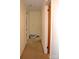 Hallway featuring neutral color palette, neutral carpeting, and paneled doors at 405 Wesley Heights Dr, Albemarle, NC 28001