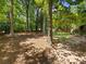 Large backyard with mature trees and a wooden privacy fence at 911 Munday Ct, Charlotte, NC 28270