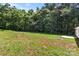 Large grassy backyard with wooded backdrop and a concrete patio connected to the house at 1234 Goodnight Ln, Kannapolis, NC 28081
