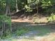 A secluded nature path through lush greenery with verdant trees and natural foliage at 284 Old Harbor Dr, Mount Gilead, NC 27306