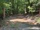 Gravel road or path leading through a wooded landscape at 284 Old Harbor Dr, Mount Gilead, NC 27306
