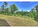 Lush backyard enclosed by a fence, offering a private outdoor space for recreation and relaxation at 336 Secretariat Dr, Iron Station, NC 28080