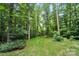 Picturesque view of a lush green backyard, surrounded by mature trees, offering serenity and privacy at 8214 Aspen Ct, Mint Hill, NC 28227