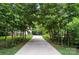 Long driveway leading to a house, surrounded by mature trees at 8214 Aspen Ct, Mint Hill, NC 28227