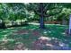 Expansive backyard featuring lush lawn space and mature trees offering ample shade at 1926 Eastway Dr, Charlotte, NC 28205