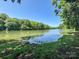 Scenic lakefront view with mature trees and natural shoreline at 12004 New Bond Dr, Huntersville, NC 28078