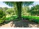 The backyard features a patio area shaded by a large tree, surrounded by plants, offering a peaceful outdoor space at 2008 Kimway Dr, Matthews, NC 28105