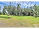 Wide angle view of expansive green land dotted with tall trees under a bright sky at 3311 Camden Rd, Marshville, NC 28103