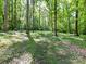 Secluded backyard offering a private retreat with mature trees and natural beauty at 5955 Mountain Point Ln, Charlotte, NC 28216