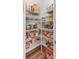 Walk-in pantry with ample shelving for organized storage at 1011 Wadsworth Ln, Indian Trail, NC 28079