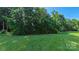 Large, well-maintained backyard with lush green grass and mature trees at 11514 Hattie Little St, Charlotte, NC 28269