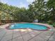 Large in-ground pool with lush landscaping and a small storage shed, perfect for summer enjoyment at 16411 Greybriar Forest Ln, Charlotte, NC 28278