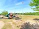 Community playground features a slide and play area with a baseball field in the background at 4268 Coachwhip Ave, Lancaster, SC 29720