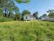 Side view of the house with surrounding yard and trees at 110 College St, Marshville, NC 28103
