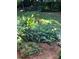 A garden bed with mulch and blooming yellow lilies at the base of the fence at 13824 Glen Abbey Dr, Charlotte, NC 28278