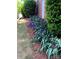 A garden bed with mulch and blooming purple Iris at the base of the brick exterior wall at 13824 Glen Abbey Dr, Charlotte, NC 28278
