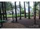 Backyard view through the trees, showcasing the home's exterior and outdoor space at 3092 S Legacy Park Blvd, Fort Mill, SC 29707