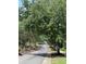 A beautiful street lined with mature trees, providing a scenic and peaceful neighborhood at 4103 Christine Ln # E, Waxhaw, NC 28173