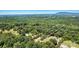 An aerial shot showcasing the property's boundaries surrounded by lush greenery and scenic views at 4905 Grassy Creek Rd, Denver, NC 28037
