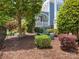 Lush landscaping with a bench nestled beneath a tree, surrounded by mulch and flowering bushes at 8918 Cotton Press Rd, Charlotte, NC 28277