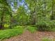 The tree-lined walking path in the backyard is perfect for strolls and connecting with nature at 1119 Holleybank Dr, Matthews, NC 28105