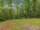 Expansive, private backyard featuring mature trees and lush greenery, ideal for outdoor enjoyment and relaxation at 1119 Holleybank Dr, Matthews, NC 28105