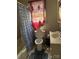 Bathroom featuring a shower-tub combo, toilet, vanity and a window with curtains at 124 Powder Sw St, Concord, NC 28025