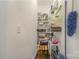 Pantry with ample shelving filled with supplies, showcasing organized storage space at 16260 Raven Crest Dr, Indian Land, SC 29707