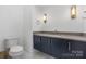 Elegant bathroom features a blue vanity with modern lighting fixtures at 10119 Laurier Ln, Huntersville, NC 28078