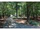 Long driveway leading to home and detached garage surrounded by mature trees at 1325 Lee Lynn Dr # 7 Part Of 6, Albemarle, NC 28001