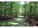 View of a picturesque wooded homesite, showing mature trees and lush green undergrowth at 1325 Lee Lynn Dr # 7 Part Of 6, Albemarle, NC 28001