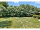 Large backyard showcasing a well-manicured lawn and lush green trees at 15508 Normans Landing Dr, Charlotte, NC 28273