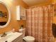 Cozy bathroom features a decorative shower curtain, white vanity, and medicine cabinet for storage at 2174 Eastview Rd, Rock Hill, SC 29732