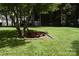 Backyard featuring a well-maintained lawn, mature trees, and a cozy seating area with red chairs at 318 N Laurel N St, Lincolnton, NC 28092