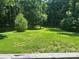 Lush green backyard with mature trees and a well-maintained lawn at 1010 Macarthur Rd, Albemarle, NC 28001