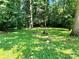 Backyard with green grass and trees in the background at 201 Barnes Ln, Stony Point, NC 28678