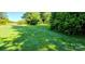 Lush green backyard featuring a grassy lawn surrounded by trees at 4501 E Highway 27 Hwy, Iron Station, NC 28080