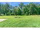 Expansive backyard with lush green grass, surrounded by mature trees and greenery and a fire pit at 3296 Saddlebrook Dr, Midland, NC 28107