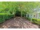 Lush backyard featuring mature trees and manicured shrubs creating a serene outdoor space at 3535 Selwyn Farms Ln, Charlotte, NC 28209