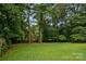 Large, lush backyard surrounded by mature trees, offering ample space and privacy at 6039 Donna Dr, Charlotte, NC 28213