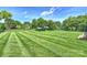 Large backyard with a manicured lawn, landscaping, and privacy fence at 8417 Hirsch Dr, Charlotte, NC 28277