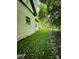 Side yard featuring lush green grass, exterior white siding, and mature trees at 409 Everette St, Monroe, NC 28112