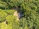 Overhead shot of the house nestled within a canopy of lush green trees, offering privacy and a natural setting at 6115 Campbell Rd, York, SC 29745